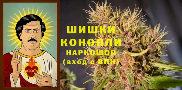 PSILOCYBIN Балахна
