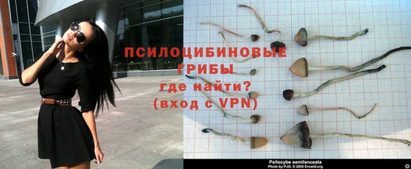 PSILOCYBIN Балахна